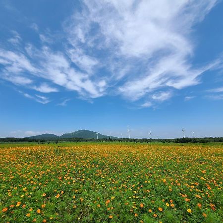 Brassica Flower Pension Сеогвипо Екстериор снимка